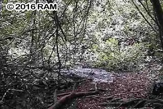 Listing Image for 000 Hana Hwy 9 of 12