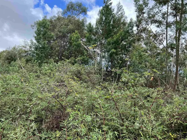 Listing Image for 0 Middle Rd 2 of 4