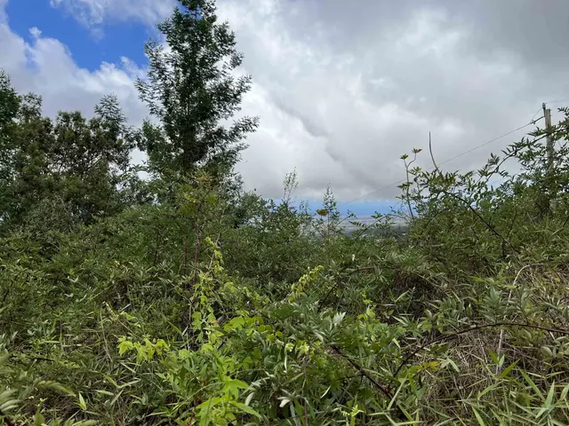 Listing Image for 0 Middle Rd 3 of 4