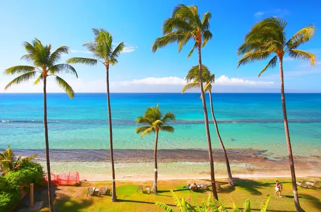 Listing Image for 3601 Lower Honoapiilani Rd 408 1 of 28