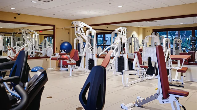 Listing Image for 3800 Wailea Alanui Blvd Ph407 49 of 50