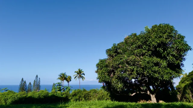 Listing Image for 3435 Hookipa Pl Unit A 1 of 7