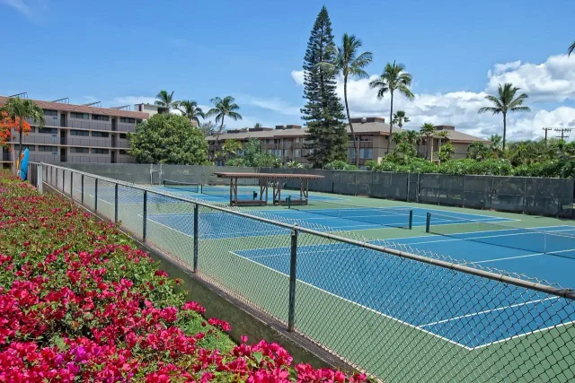 Listing Image for 2695 S Kihei Rd 8-101 39 of 39