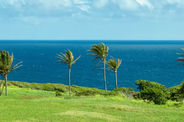 Listing Image for 400 Kai Huki Cir Lot 16 11 of 17