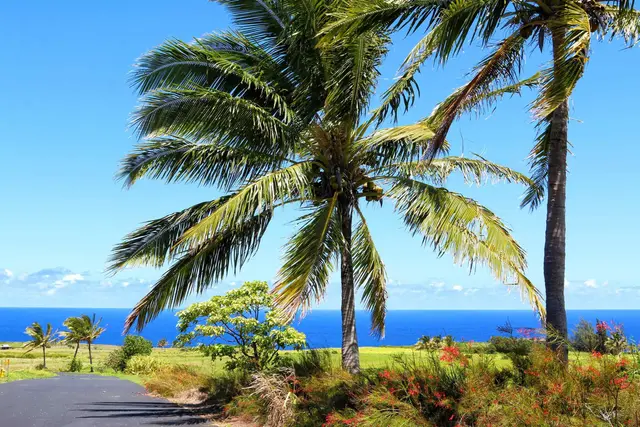 Listing Image for 400 Kai Huki Cir Lot 16 17 of 17