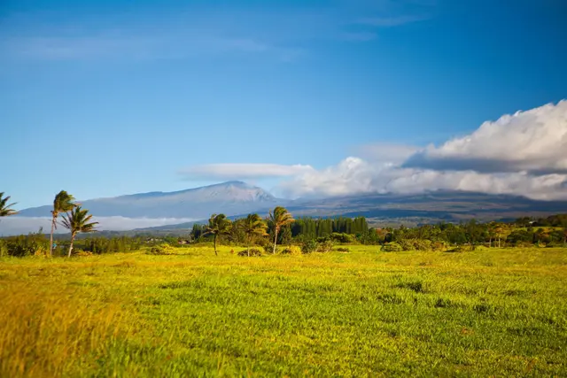 Listing Image for 400 Kai Huki Cir Lot 16 5 of 17