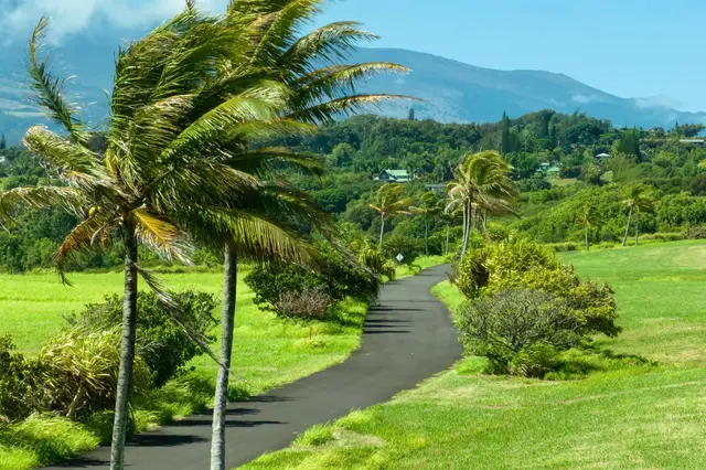 Listing Image for 400 Kai Huki Cir Lot 16 8 of 17