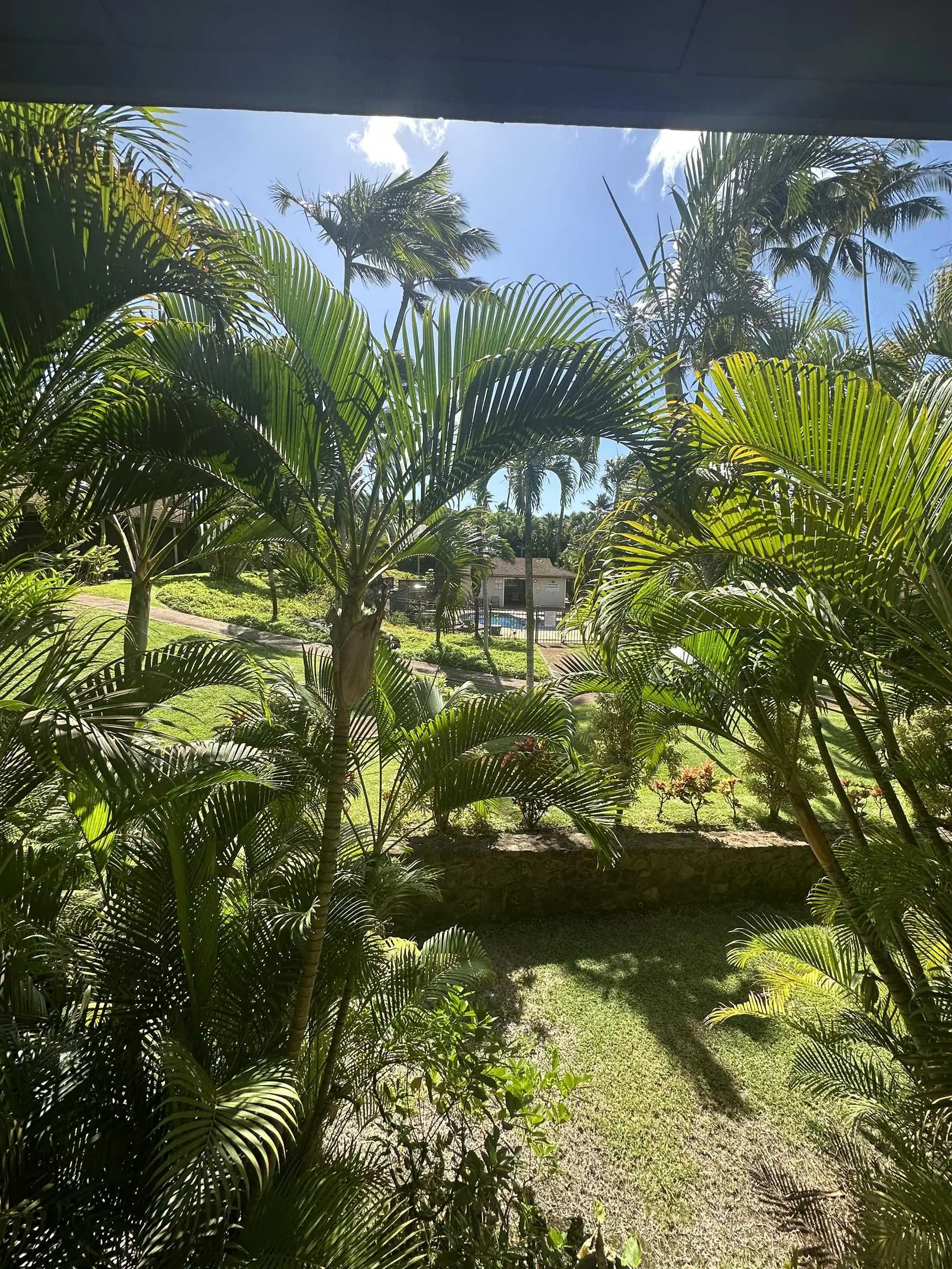 Photo of Listing #409330