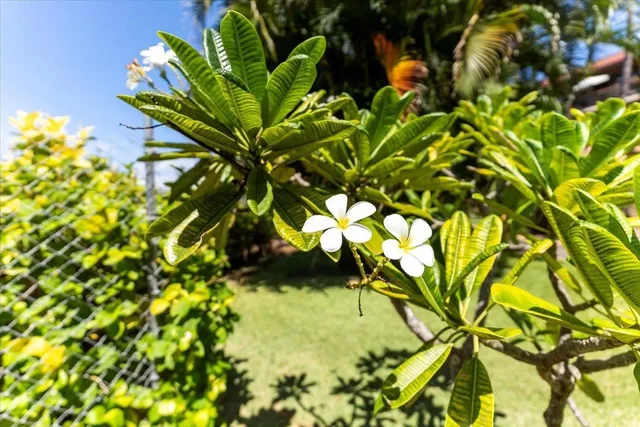 Listing Image for 2191 S Kihei Rd 1301 38 of 49