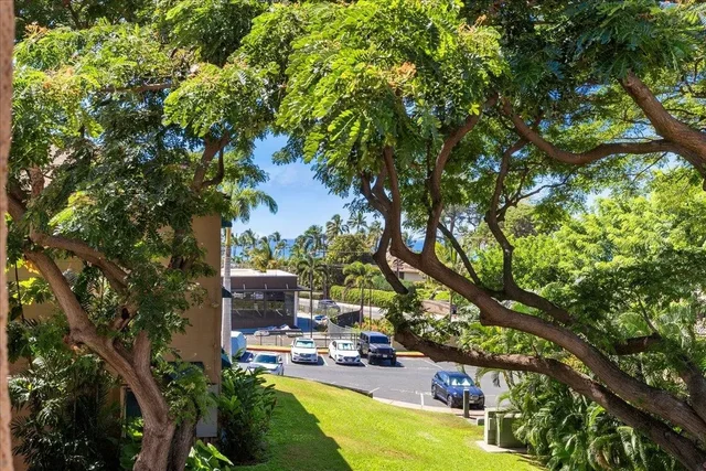 Listing Image for 2191 S Kihei Rd 1301 39 of 49