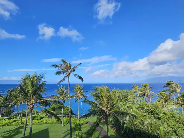 Listing Image for 1 Bay Dr 2502 31 of 34