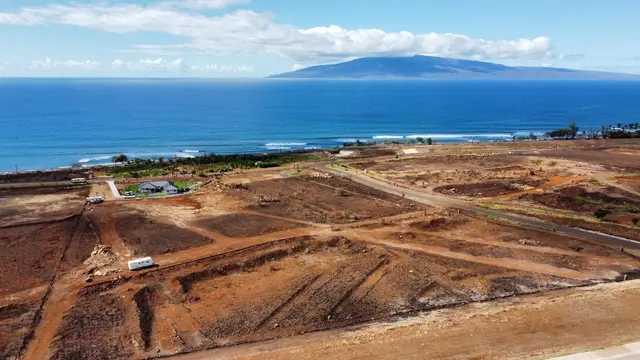 Listing Image for 1714 Waianukole (c) St C 4 of 13