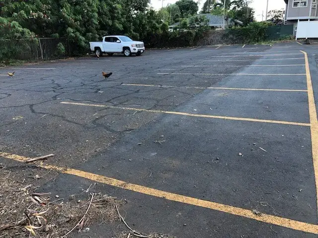 161 Konahau Ln, Wailuku, 403774 - 3/9