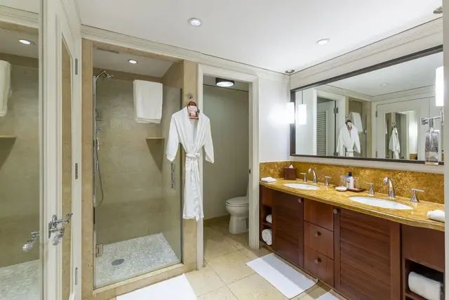 Listing Image for 1 Ritz Carlton Dr 1221-23 21 of 50