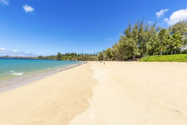 Listing Image for 1 Ritz Carlton Dr 1221-23 50 of 50