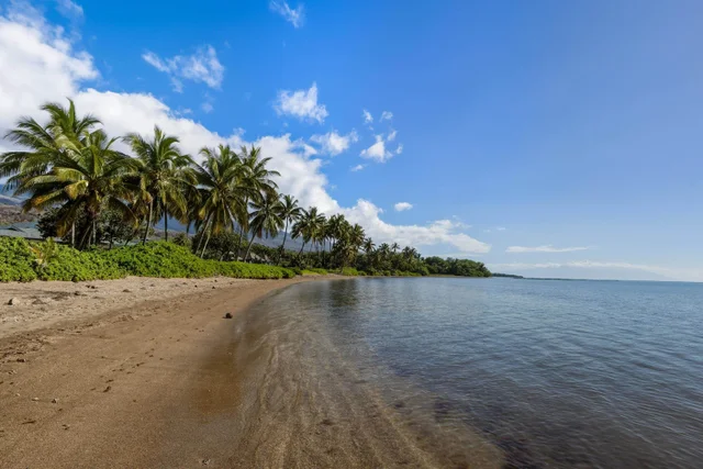 Listing Image for 2380 Kamehameha V Hwy 12 of 50