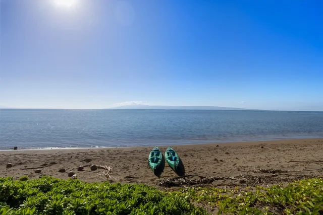 Listing Image for 2380 Kamehameha V Hwy 50 of 50