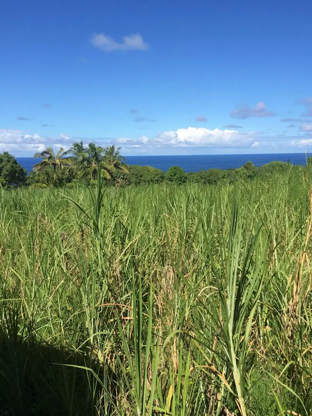 Listing Image for Lower Nahiku Rd 3 of 8