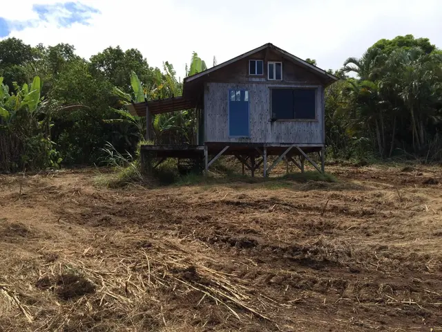 Listing Image for Lower Nahiku Rd 5 of 8