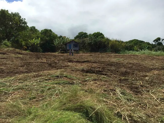 Listing Image for Lower Nahiku Rd 6 of 8