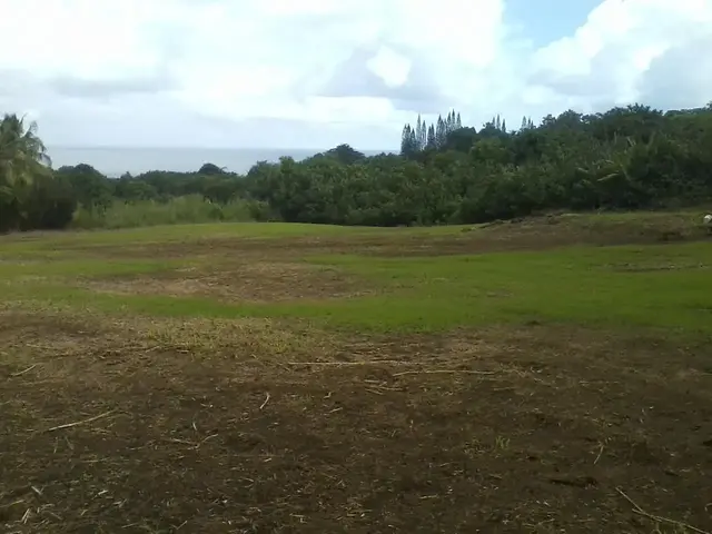 Listing Image for Lower Nahiku Rd 7 of 8