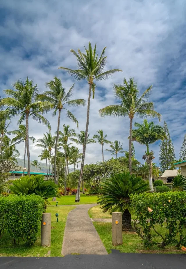 Listing Image for 7142 Kamehameha V Hwy B205 17 of 19