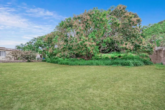 Listing Image for 557 Maalo St 27 of 39