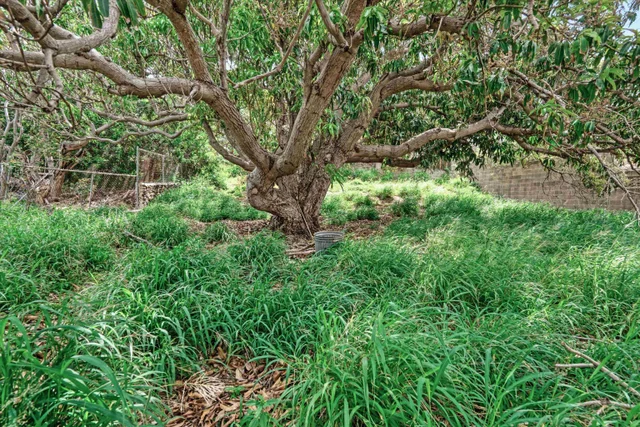 Listing Image for 557 Maalo St 28 of 39