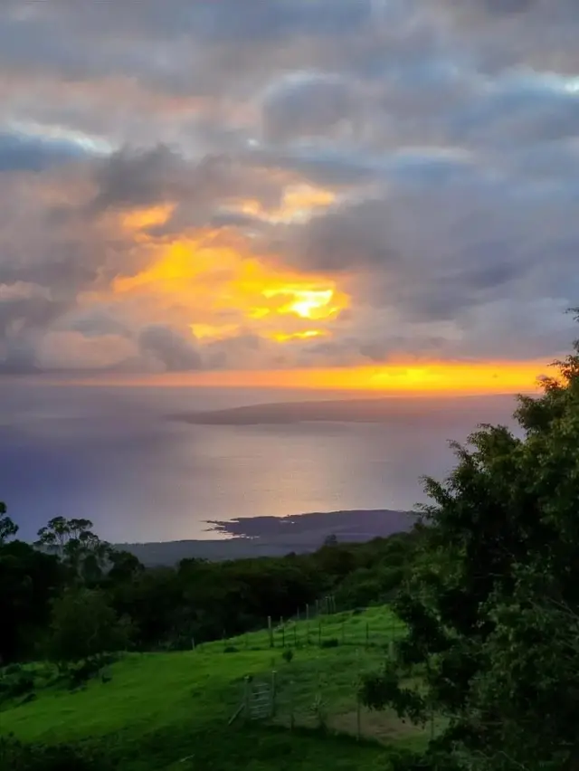 Listing Image for 2239 Upper Kanaio Rd 1 of 23