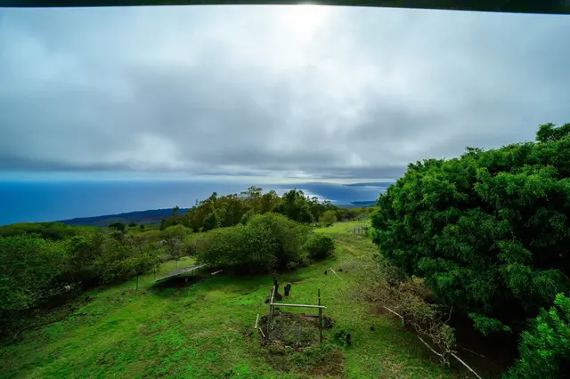 Listing Image for 2239 Upper Kanaio Rd 22 of 23