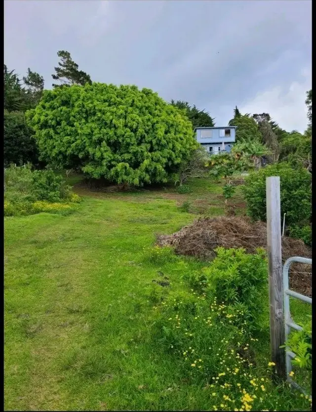 Listing Image for 2239 Upper Kanaio Rd 23 of 23