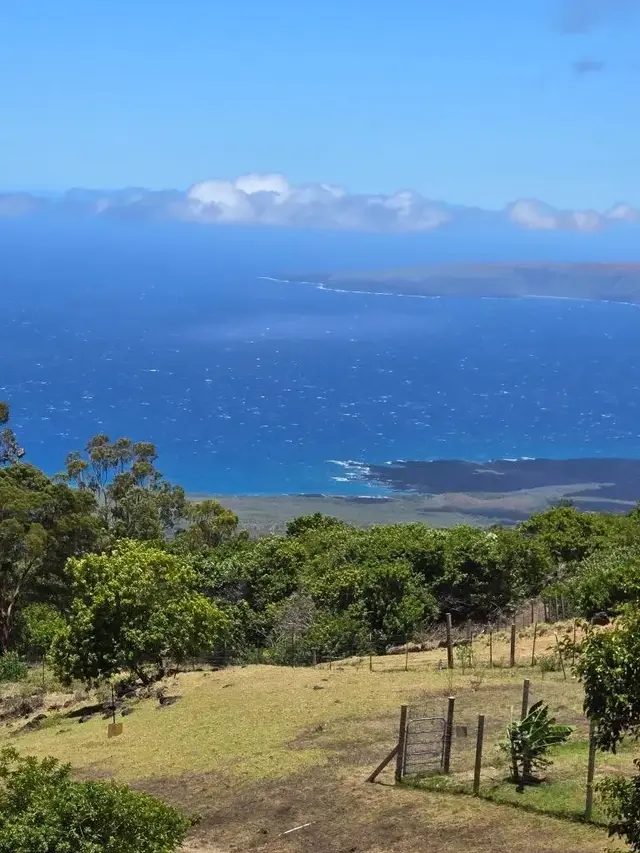 Listing Image for 2239 Upper Kanaio Rd 3 of 23
