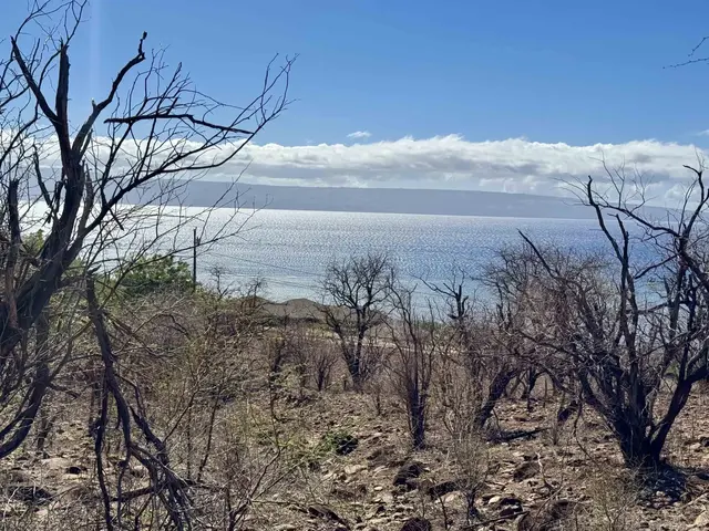 Listing Image for Uluanui Rd 126 6 of 20