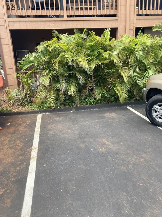 Listing Image for 3740 Lower Honoapiilani Rd A-108 3 of 9