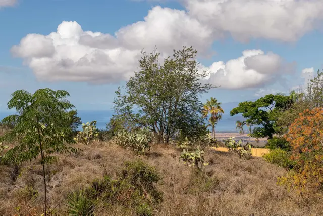 Listing Image for 0 Holopuni Rd 5 of 12