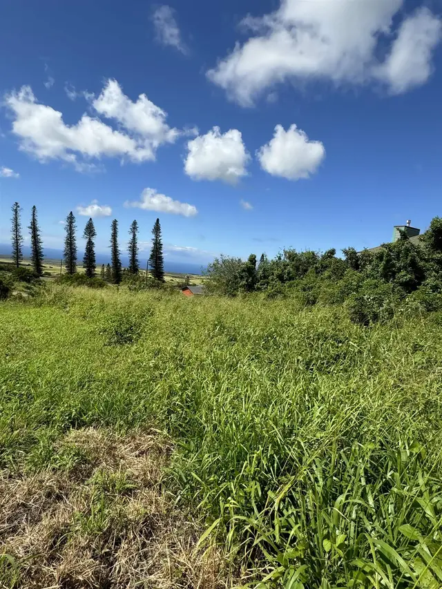 Listing Image for 34 Linohau Pl 458 2 of 5