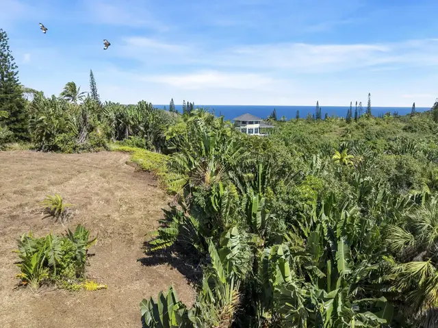 Listing Image for 62 Hoolawa Rd B 12 of 42