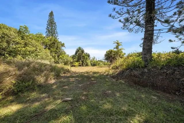 Listing Image for 62 Hoolawa Rd B 5 of 42