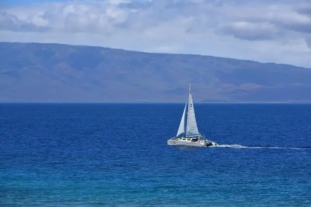 Listing Image for 110 Kaanapali Shores Pl 913 38 of 49