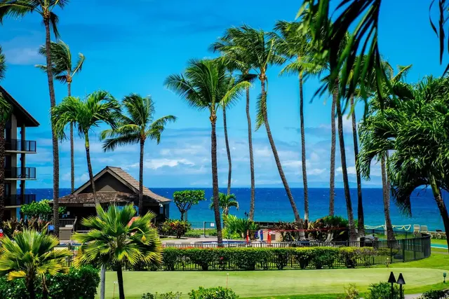 Listing Image for 3543 Lower Honoapiilani Rd C-205 31 of 50
