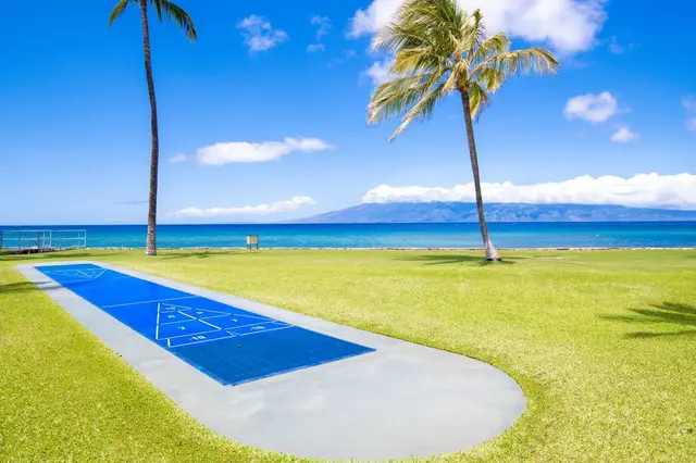 Listing Image for 3543 Lower Honoapiilani Rd C-205 41 of 50
