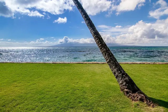 Listing Image for 3543 Lower Honoapiilani Rd C-205 42 of 50