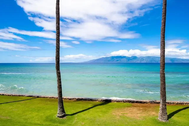 Listing Image for 3543 Lower Honoapiilani Rd C-205 44 of 50