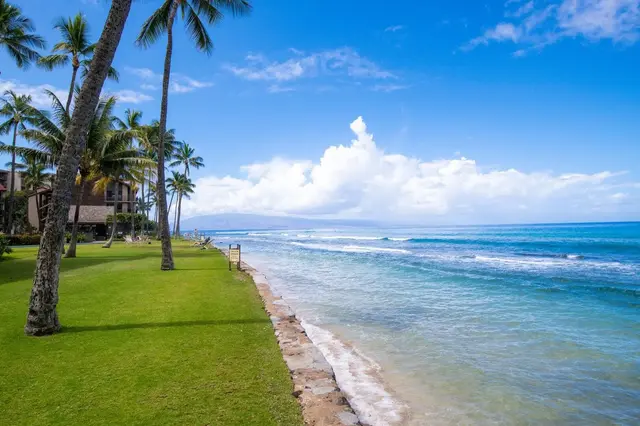 Listing Image for 3543 Lower Honoapiilani Rd C-205 47 of 50