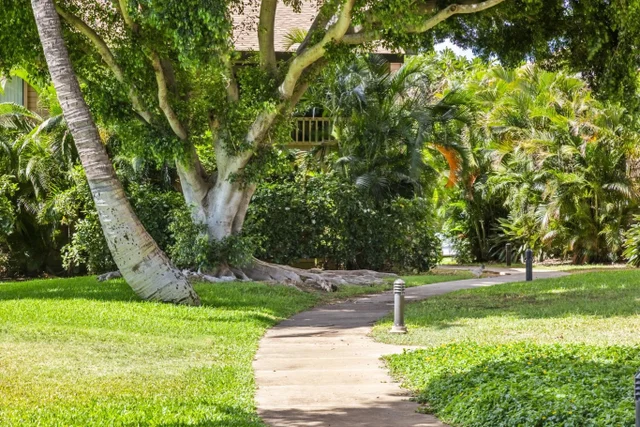 Listing Image for 15 Kulanihakoi St 12e 40 of 50