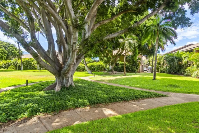 Listing Image for 15 Kulanihakoi St 12e 42 of 50