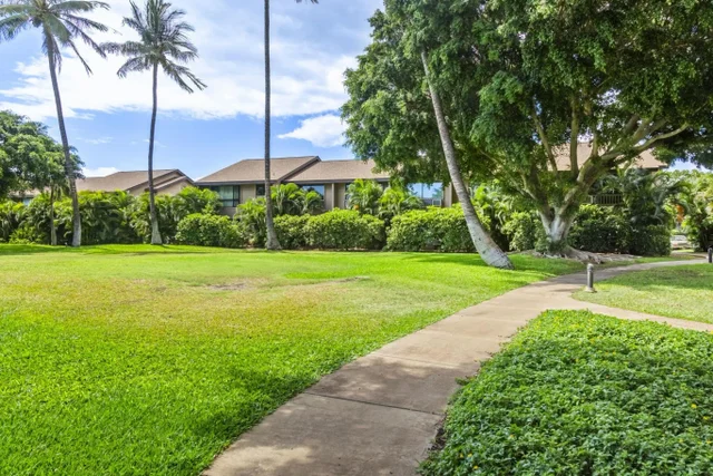 Listing Image for 15 Kulanihakoi St 12e 43 of 50