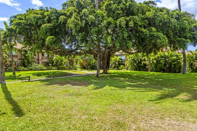 Listing Image for 15 Kulanihakoi St 12e 46 of 50