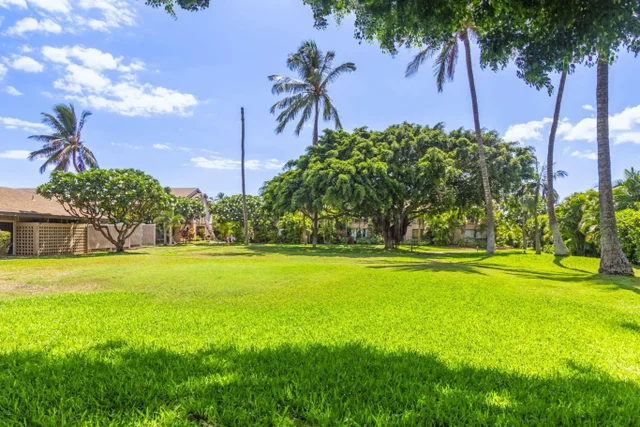 Listing Image for 15 Kulanihakoi St 12e 47 of 50