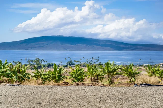 Listing Image for 257 Hokiokio Pl A 41 of 48